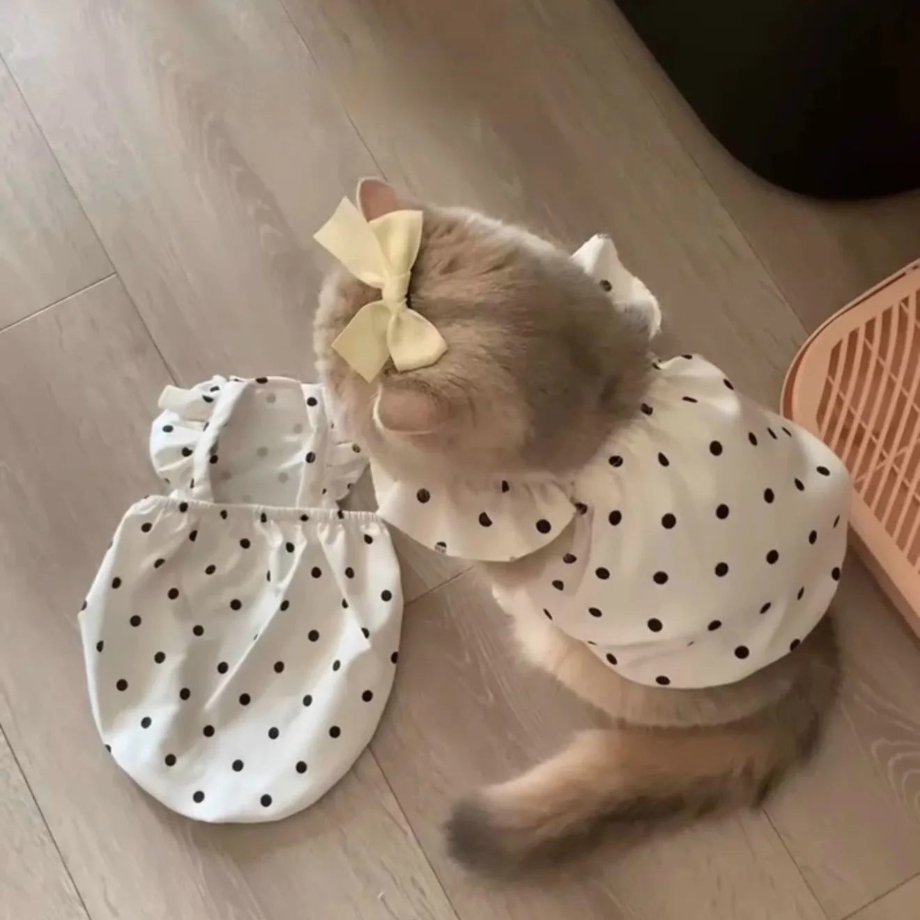 Ropa de primavera y verano para gatos, vestido beige con protección solar, falda con tirantes y estampado de lunares para perros pequeños y caniches.