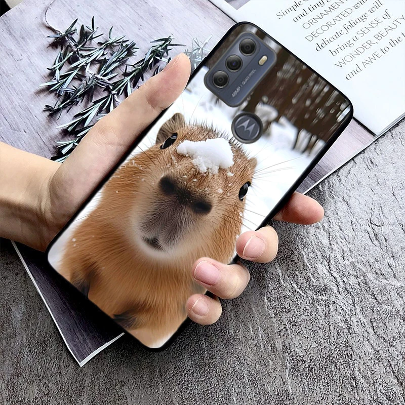 Animal Capybara Pho…