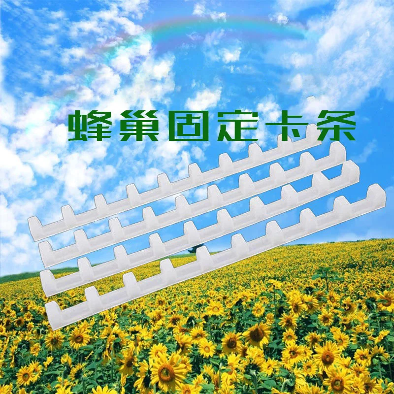 10Pcs Beekeeping Bees Bar Bee Hive Frame Nest Box Card Strip Avoid Agitation Plastic White Interval 37cm Anti Shaking Beehive