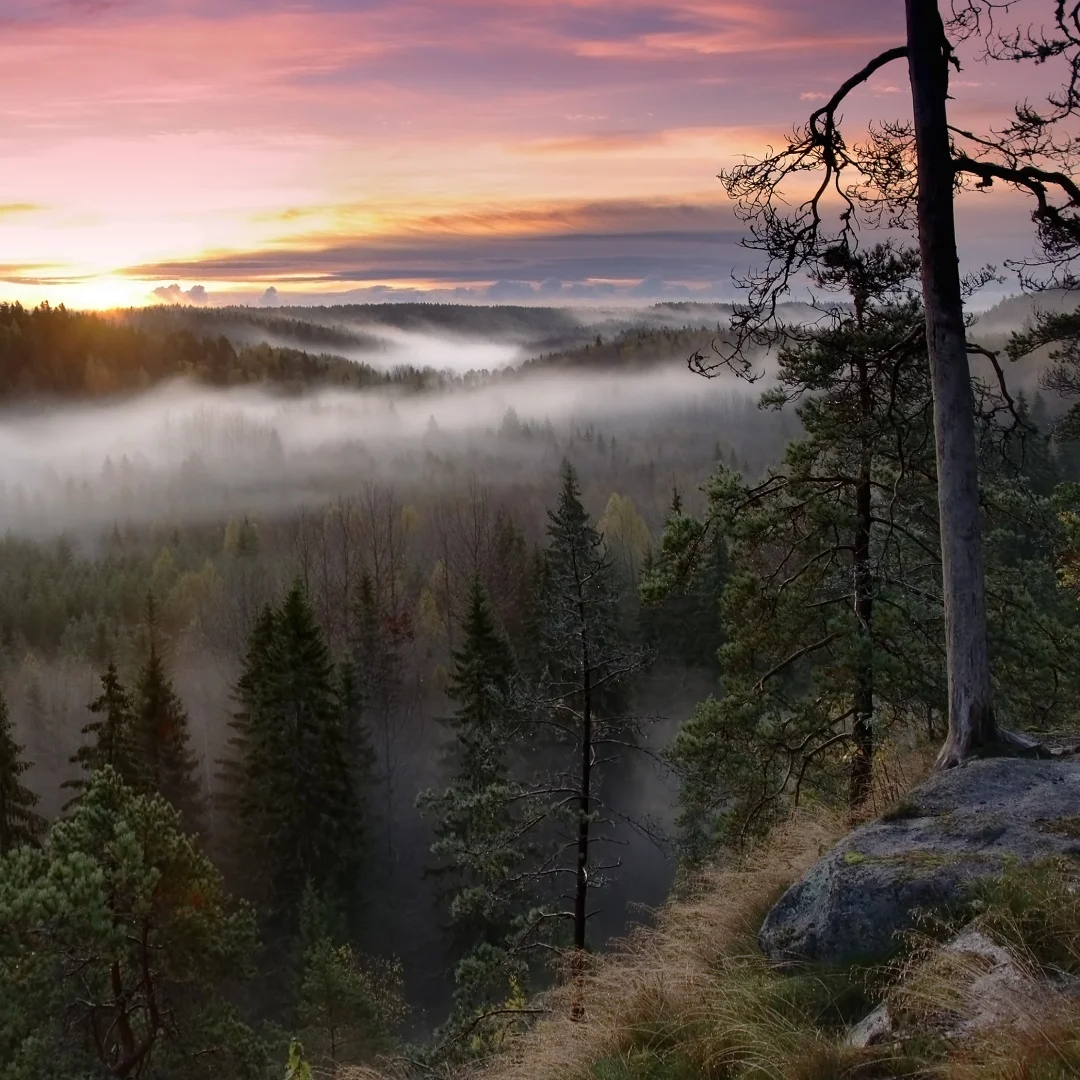 

Автомобильный радиоприемник Android с двумя экранами для Ford Explorer 2011-2019, DVD, мультимедийный видеоплеер, стерео, авто, GPS-навигация, Carplay DSP 5G