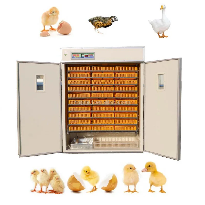 

HJ-IH2640 Setting Chicken Eggs Automatic Incubator Hatchery