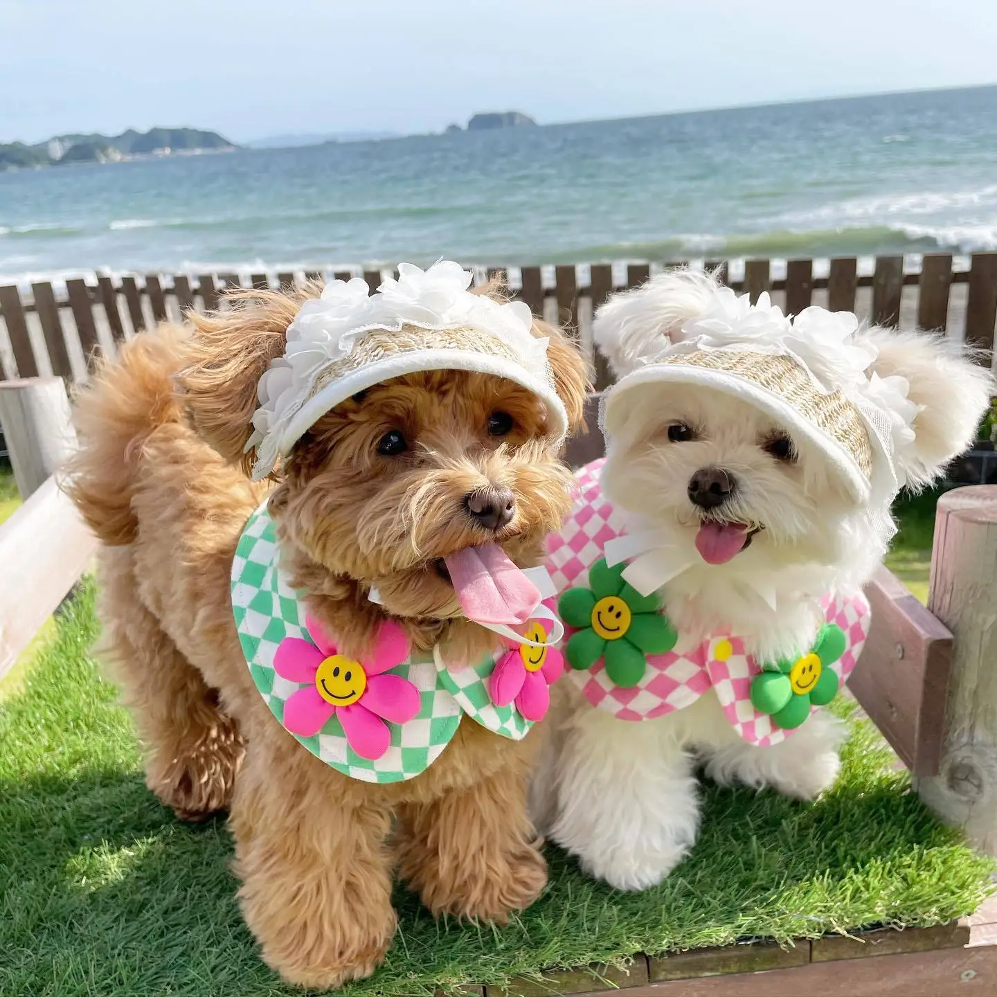 

Ins French Lace Flower Cute And Elegant Straw Pet Sun Hat For Dogs And Cats - Adjustable Hat
