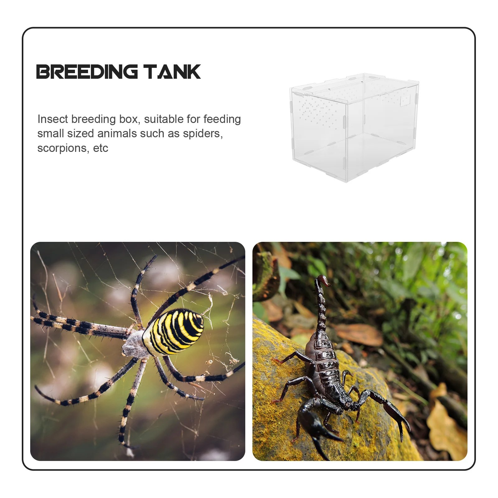 

1pc Acrylic Reptile Breeding Box 30X20X20Cm Transparent Pet Habitat For Lizards Snakes Spiders Feeding Container Durable