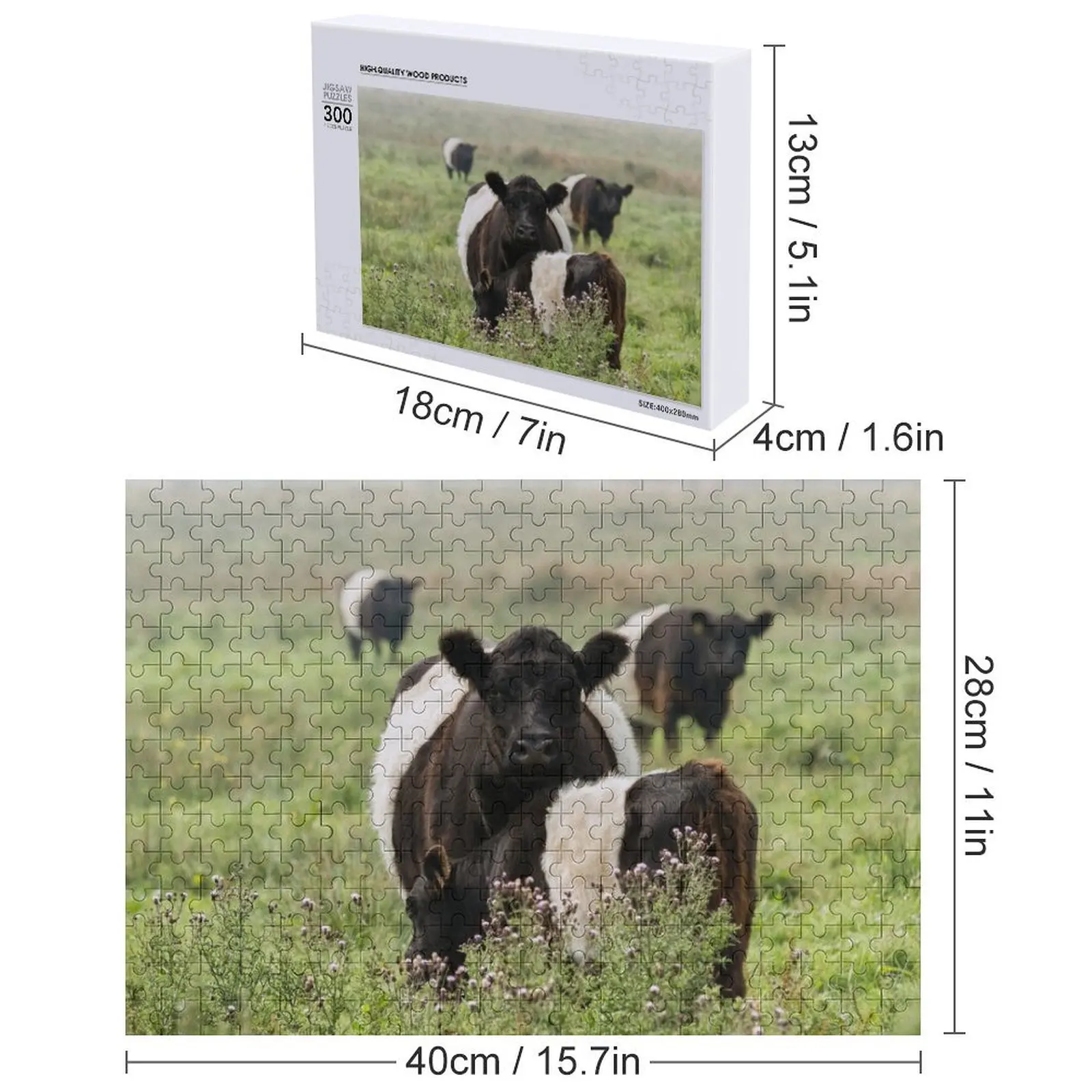 벨트드 갈로웨이 소들 직소 퍼즐 성인용 나무 직소 퍼즐 사진 퍼즐이 있는 애니메이션