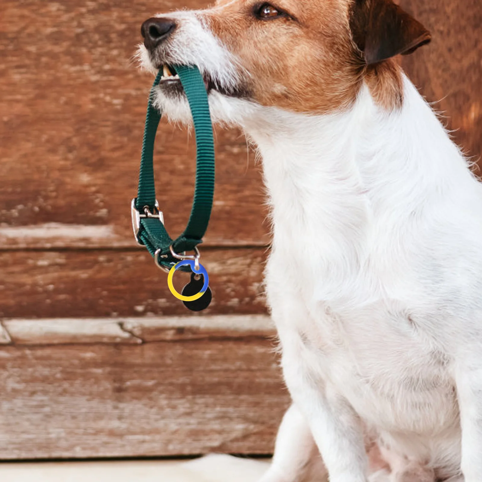 

12pcs Pet Tag Rings Dog Tag Noise Reducer Covers Quiet Durable Silicone Protector for Dogs Cats Small Medium Large