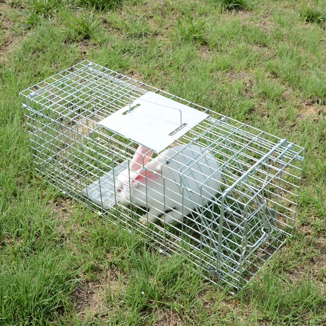 Automatic Metal Mouse Cage Trap Multi-Catch Large Size Animal Collapsible Rodent Steel Wire Cage Trap Used for Weasel Sable Cat