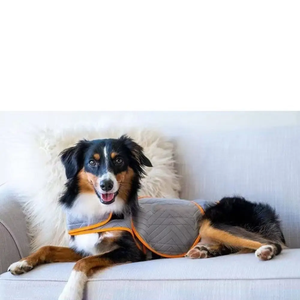 

Elastic Dog Anxiety Jacket Breathable Reflective Dog Thunder Vest Skin-Friendly Comfortable Pet Soothing Clothes