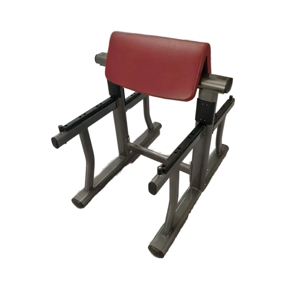 

Modern Professional Commercial Gym Arm Curl Bench Durable Metal Material for Club Fitness Training Pin Load Selection Machines