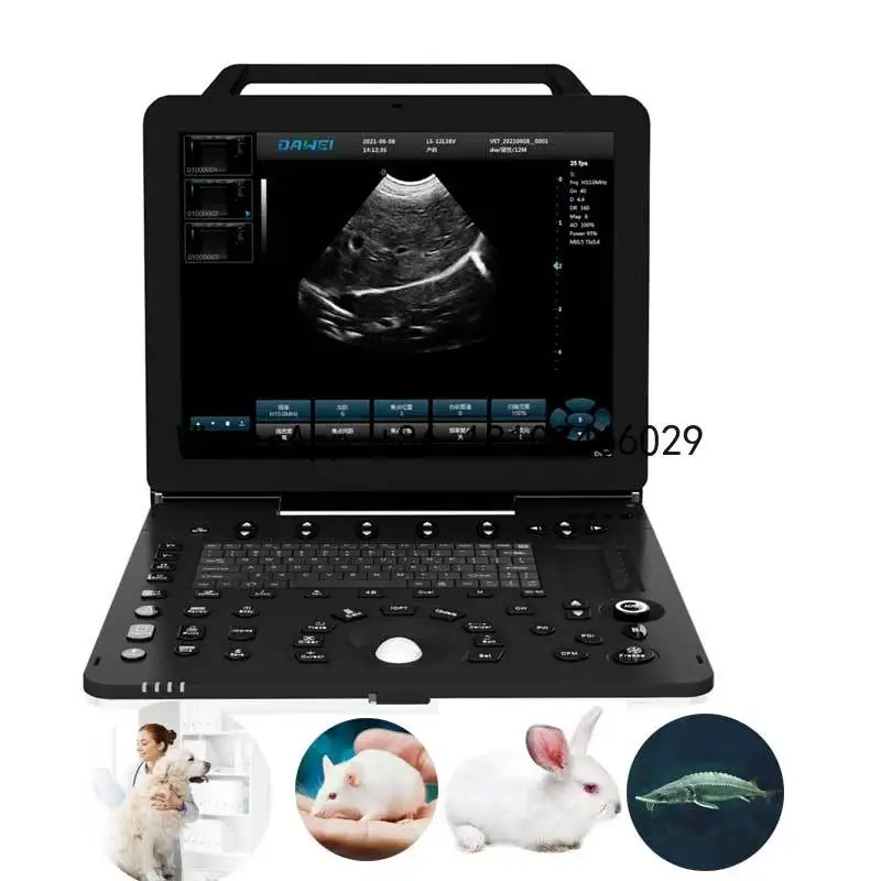 Dawei Pet Imaging Diagnosis Portable Animal Sonography System for Veterinary Clinics