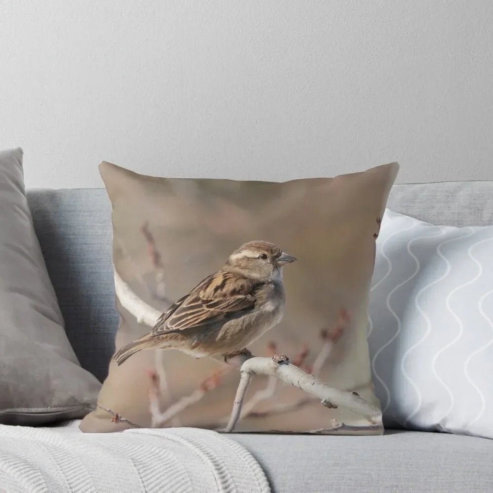 Female House Sparrow Throw Pillow Christmas Covers For Cushions Luxury Living Room Decorative Cushions Pillow