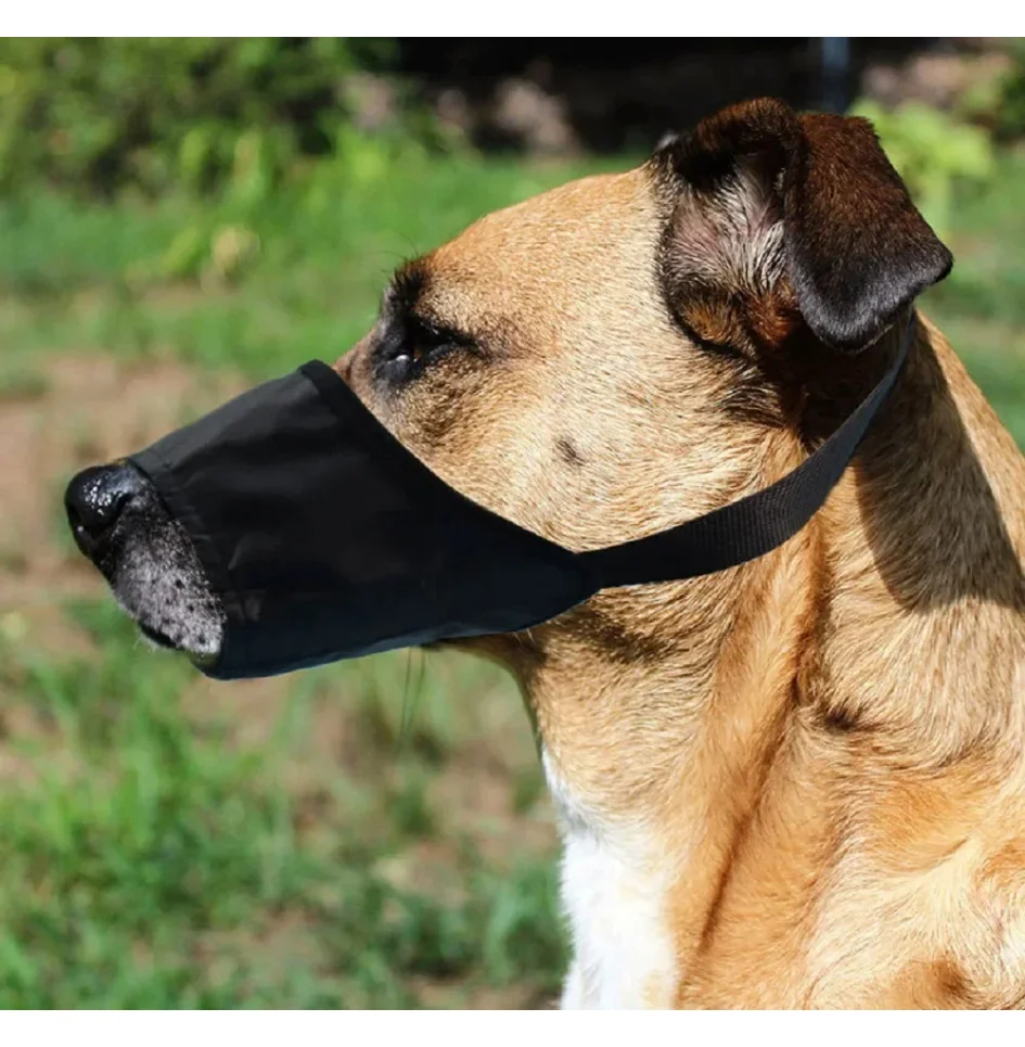 Thumbnail 3 - #8 Puppy Muzzles Comparison Guide
