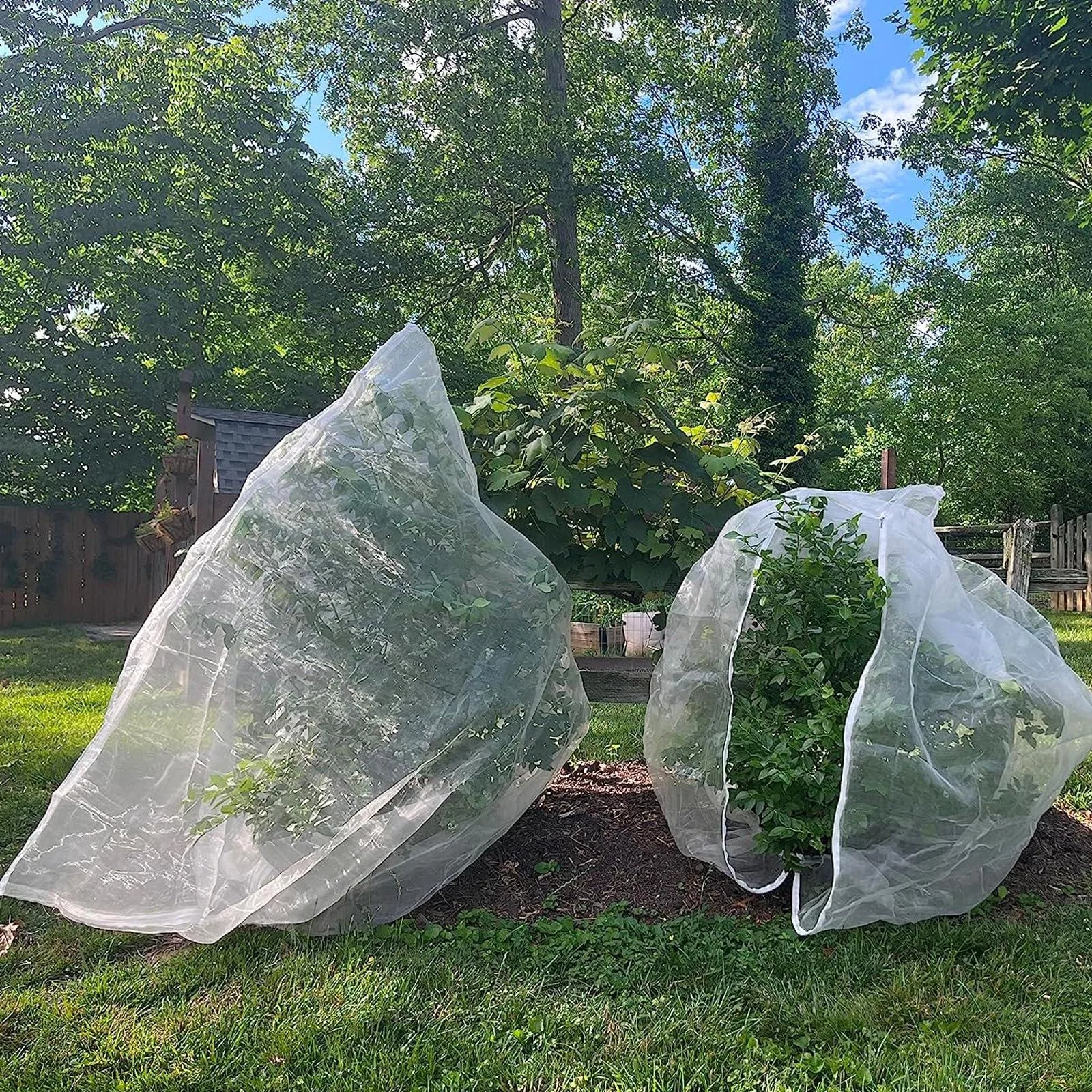 Large Fruit Tree Netting Bags with Zipper and Drawstring  Garden Birds Nettings for Cherry Apple Tree Blueberry Bushes