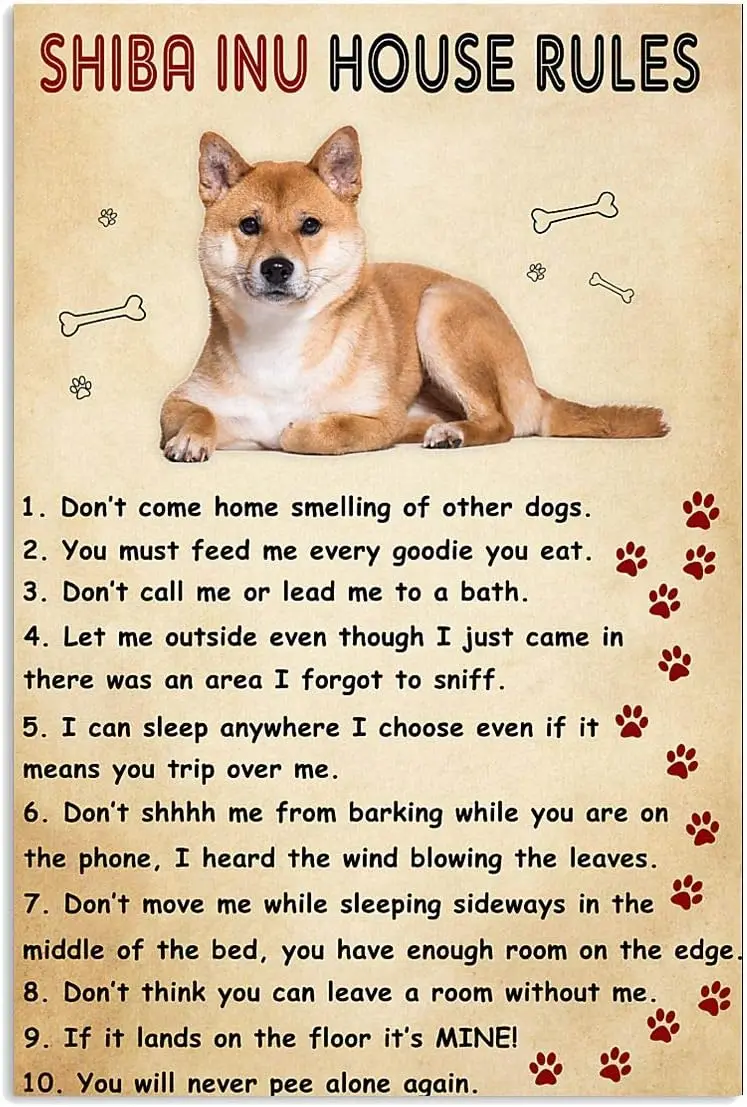 Metal Sign Shiba Inu House Rules Sign Vintage Signs Retro Aluminum Tin Sign for Kitchen Home Office Bar Cafe Decor 8x12 Inc sign