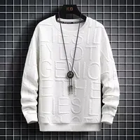 Men's Sweatshirt 2023 Autumn Winter New Trendy Hong Kong Style Versatile Round Neck Autumn/winter Decoration Long Sleeve T-shirt