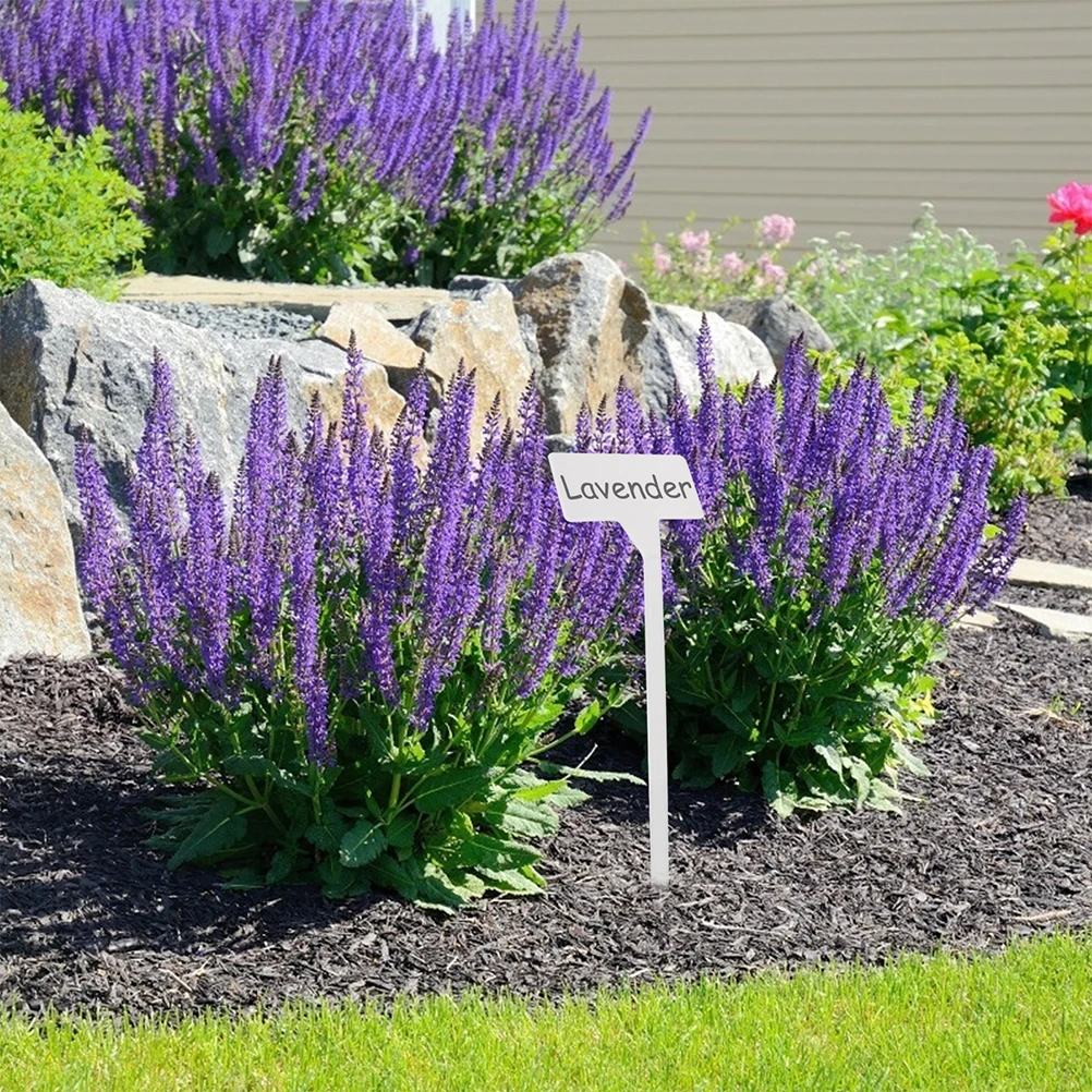 

25pcs Garden Plant Labels Sturdy Plastic Markers Outdoor Waterproof Plant Tag Set for Gardening Nursery Row Marker Decorative