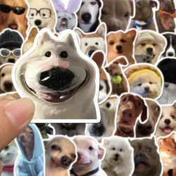 50pcs Kawaii Cat Dog Funny Animal Meme Stickers Cute Decals Decoration DIY Skateboard Scrapbook Laptop Fridge Car Kids Toy