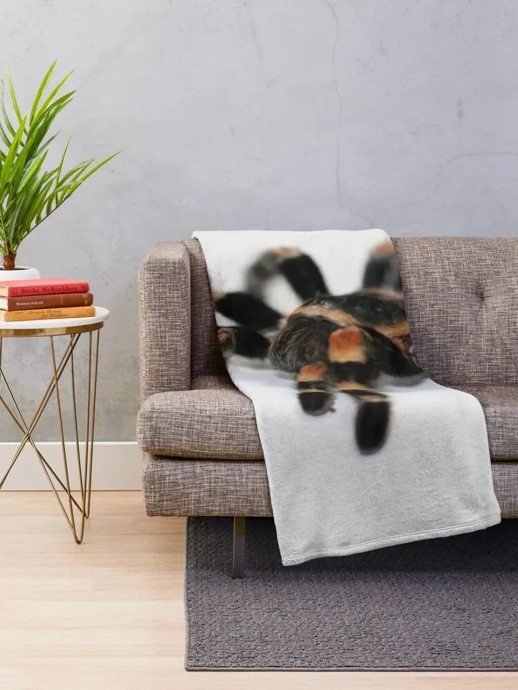 Tarantula Throw Blanket funny gift blankets ands Decorative Sofas Blankets