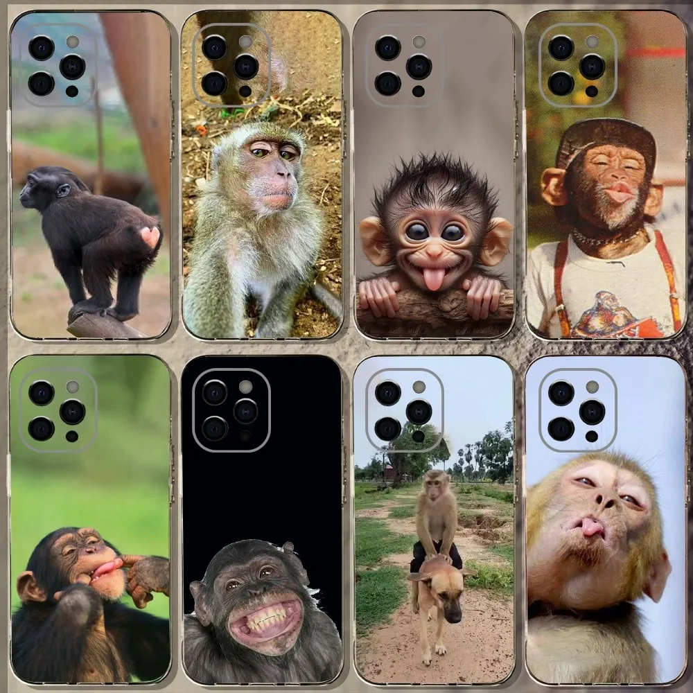 Monkey Sipping Caprisun Meme Phone Case For iPhone 15,14,13,12,11 Plus,Pro,Max,XR,XS,X,7,8 Plus,SE,Mini Transparent Soft Cover