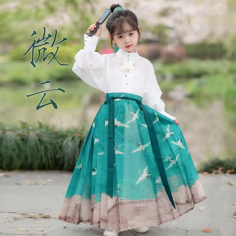 Girl Improved Green Crane Print Hanfu Tang Suit Original Han Elegant Fairy Chinese Style Daily Horse Face Skirt