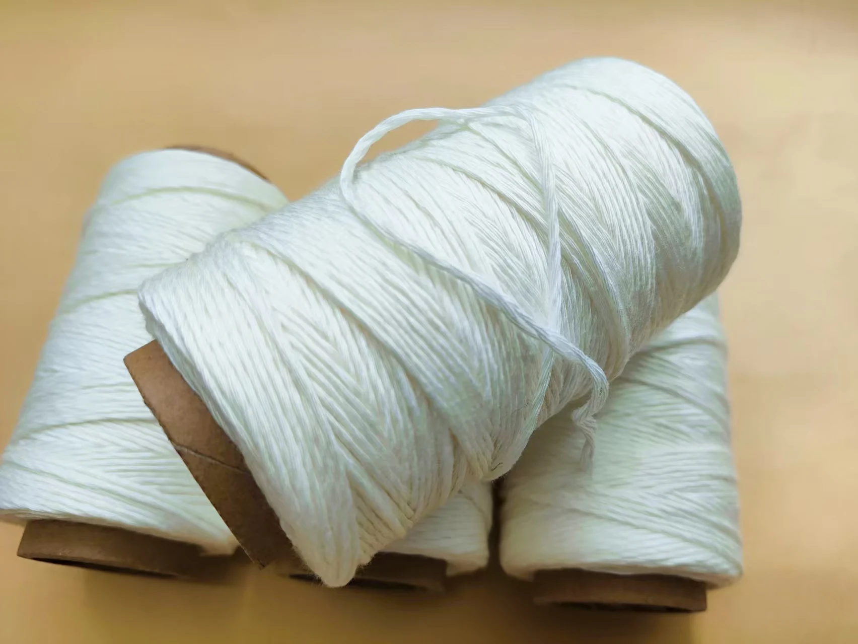 100M Corde biodegradabili compostabili appese verdure frutta serra cetrioli pomodori tralicci piselli ramo cravatte vite