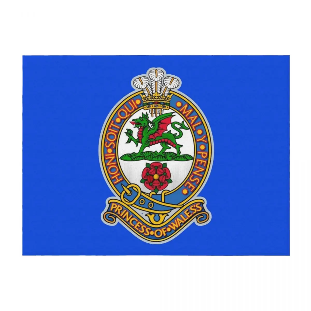 

PRINCESS OF WALESS ROYAL REGIMENT Throw Blanket Furry Bed covers Thins Comforter Blankets