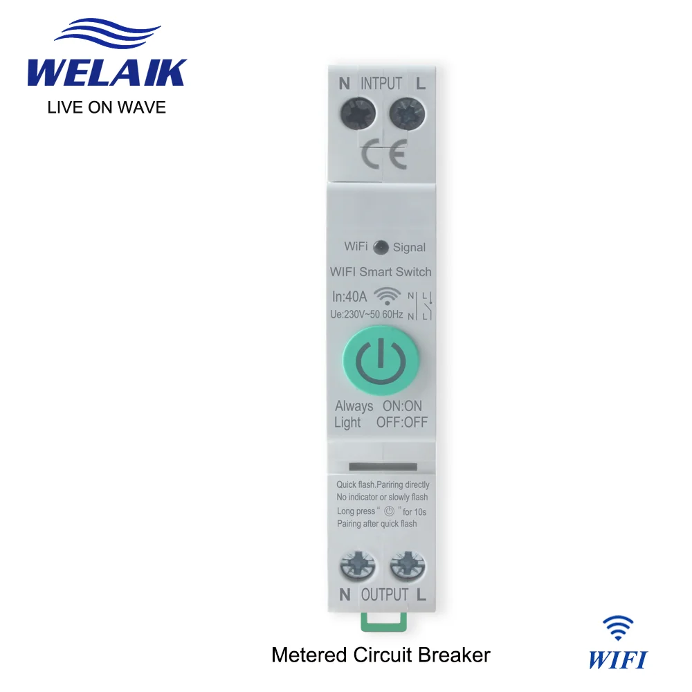 WELAIK WIFI Tuya 40A 63A Electrical Box Smart Branch Circuit Breaker Switch 220V