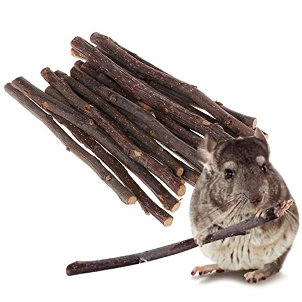 

Super Hot Sale Brand 100pcs Hamster Rabbits Teeth Grinding Apple-Tree Stick Minerals Molar