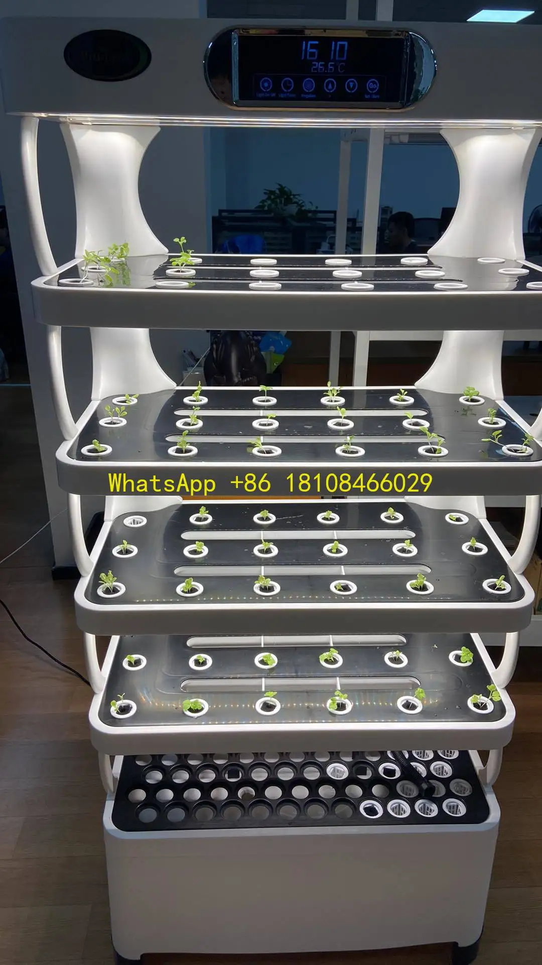 

Intelligent Vertical Vegetable Grow Machine Pro-leaf Indoor Hydroponic