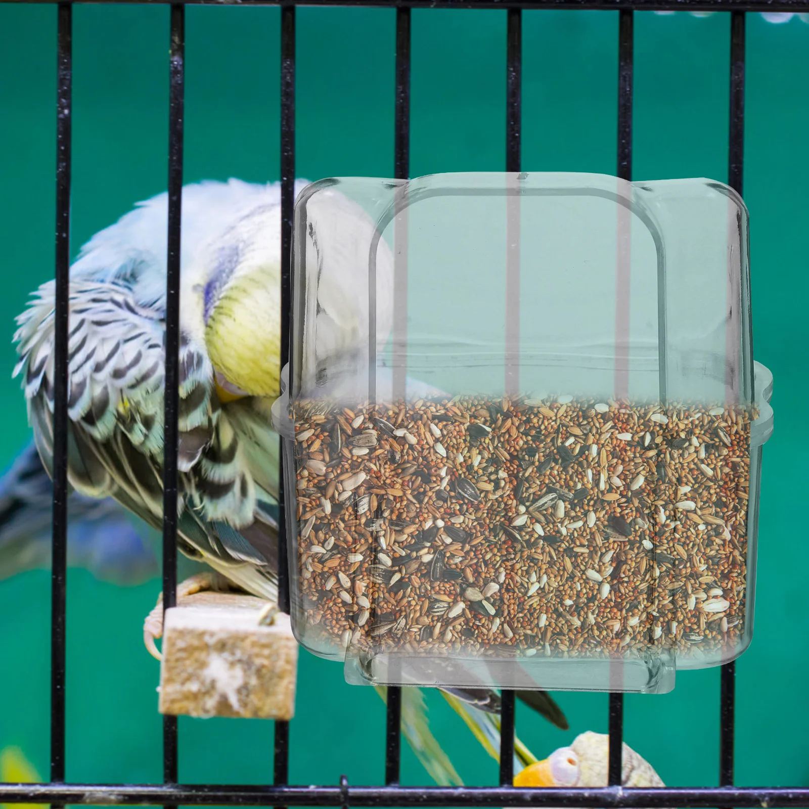 

Cage Feeder Parrot Feeding Cup Waterproof External Food Box for Pigeons Cockatiel Practical Accessories