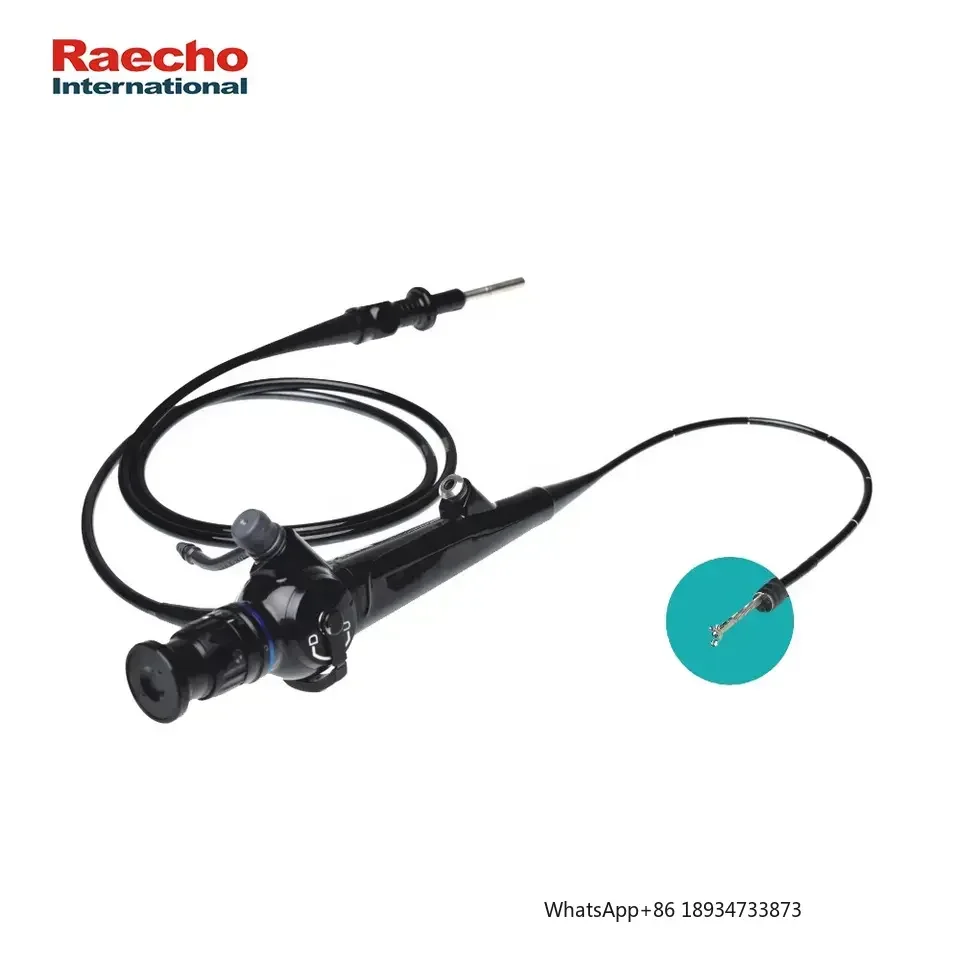 Good Price Fiber Nasopharyngoscope Bronchoscope Endoscopic Medical ENT Flexible Optic Endoscope Nose and Throat