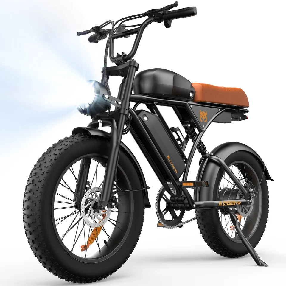 Electric Bike 1000W Fat Tire E Bike Electric Dirt Bike Dual Battery MoutainBike