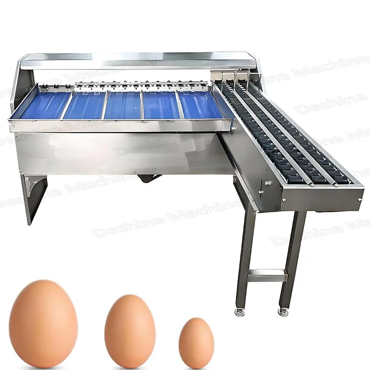 للبيع فارز الوزن التلقائي فارز فارز