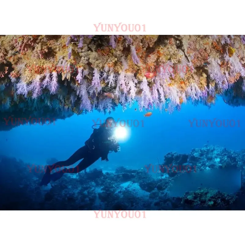 High Power White Light L2 Professional Deep Sea Underwater Lighting Diving Flashlight