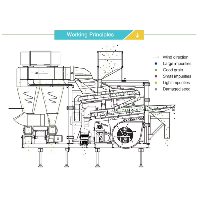 Big Capacity Grain Bean Sorting Machine Soybean Maize Wheat Sunflower Sesame Seed Cleaning and Grading Machine