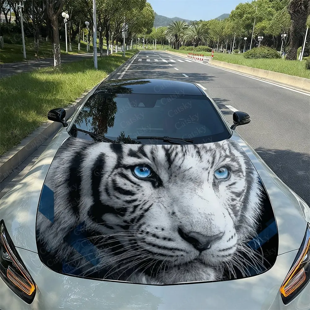 Portrait Of A Blue Eyed White Tiger Car Hood Wrap Colorful Vinyl Waterproof Sticker For Trucks, Decorative Bonnet Graphics And A