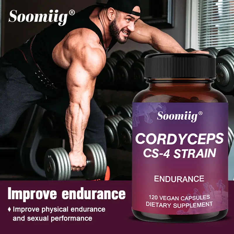 Cordyceps sinensis extract, supports physical strength and endurance, relieves physical fatigue and stress