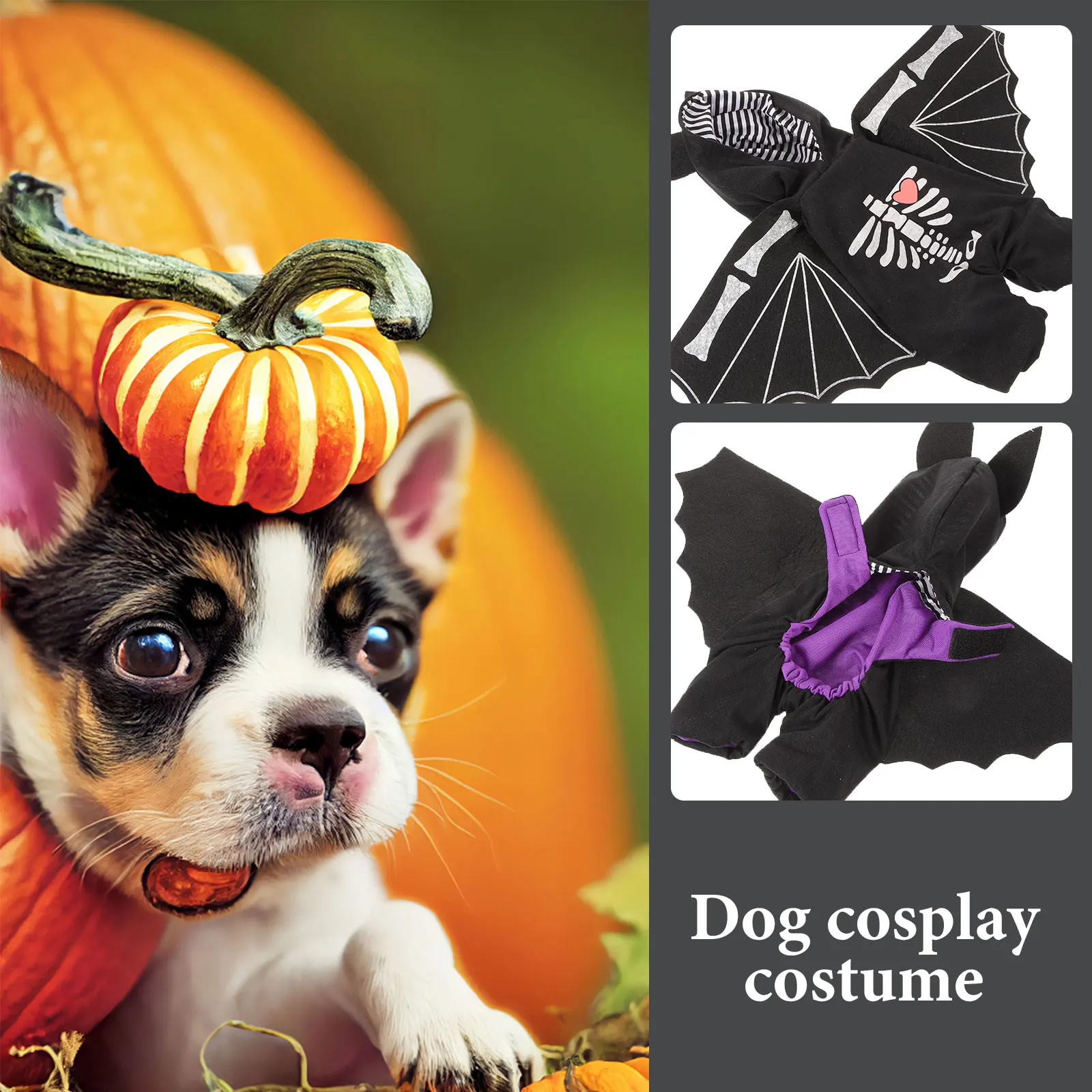 

Pet Transformation Costume Coat Halloween Clothing Tags Black Costumes