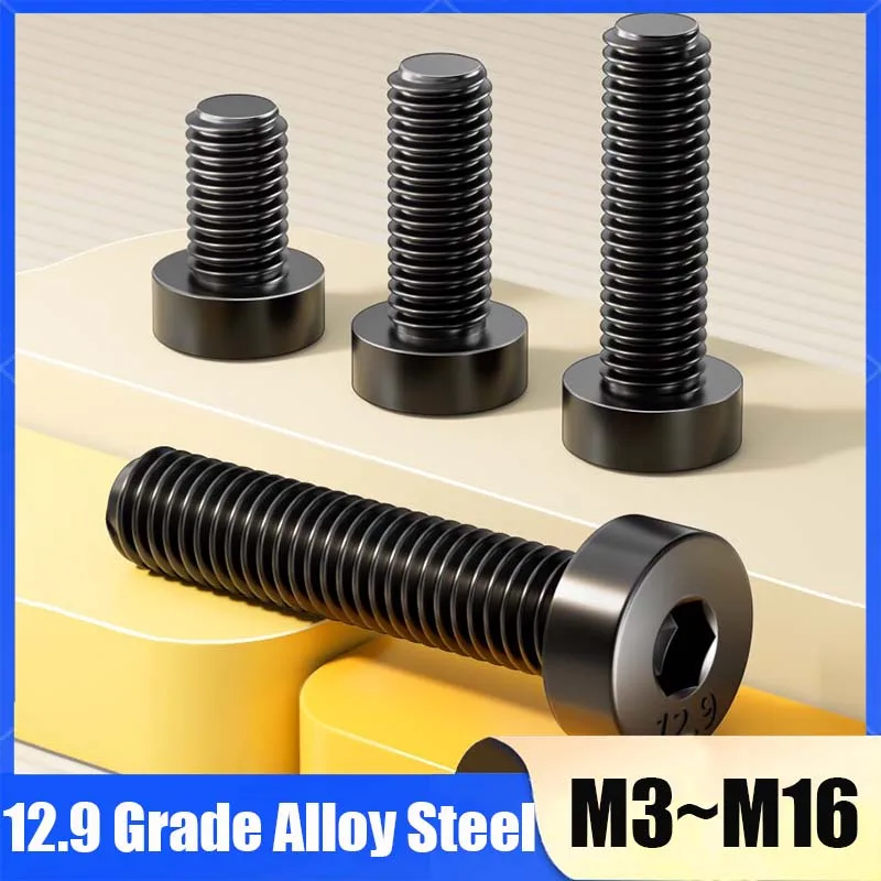 Grade 12.9 Alloy Steel Black Allen Hex Hexagon Socket Thin Short Profile Cap Head Screw Bolt M3 M4 M5 M6 M8 M10 M12 M14 M16