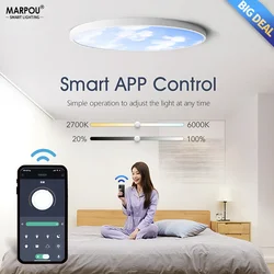 0.9Inch Indoor Lighting Smart Ceiling Lamp Sky 110V220V 24W42W Remote Control/APP Dimming Decoration Bedroom Kitchen Living Room