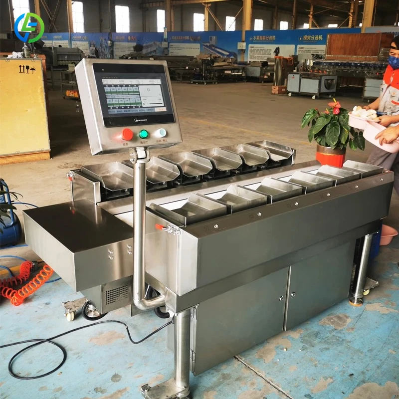 Factory Direct 12 Pallets Seafood Weighing Machine Electronic Scale Linear Weigher for Frozen Meat Cubes for Sale FL Customized