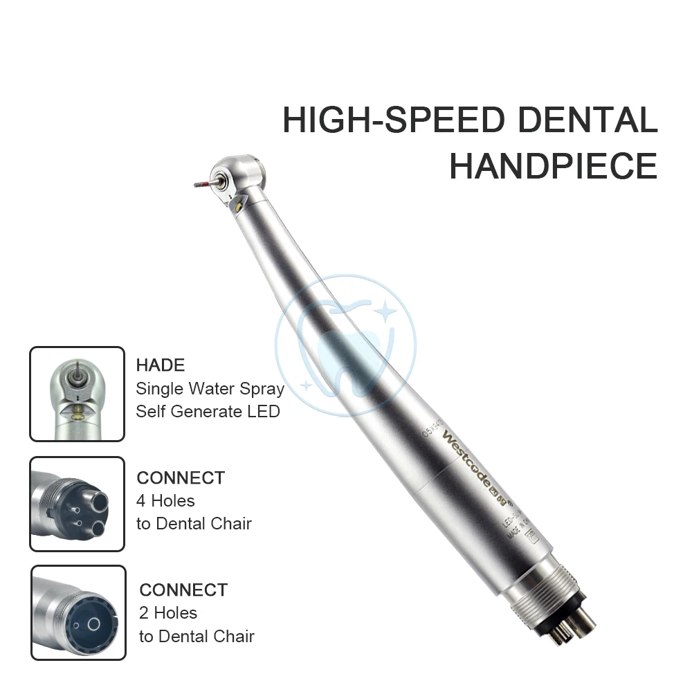 Dental LED High Speed Handpiece Single Point Water Spray Ceramic Bearing Push Button Mini Torque Head Dentist Tool 2/4 Holes