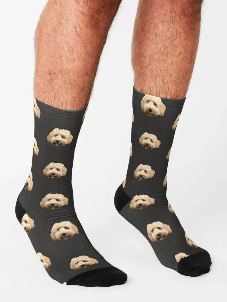 Rosie the Goldendoodle-Calcetines de algodón con calefacción para hombre y niña, calcetín divertido de alta calidad