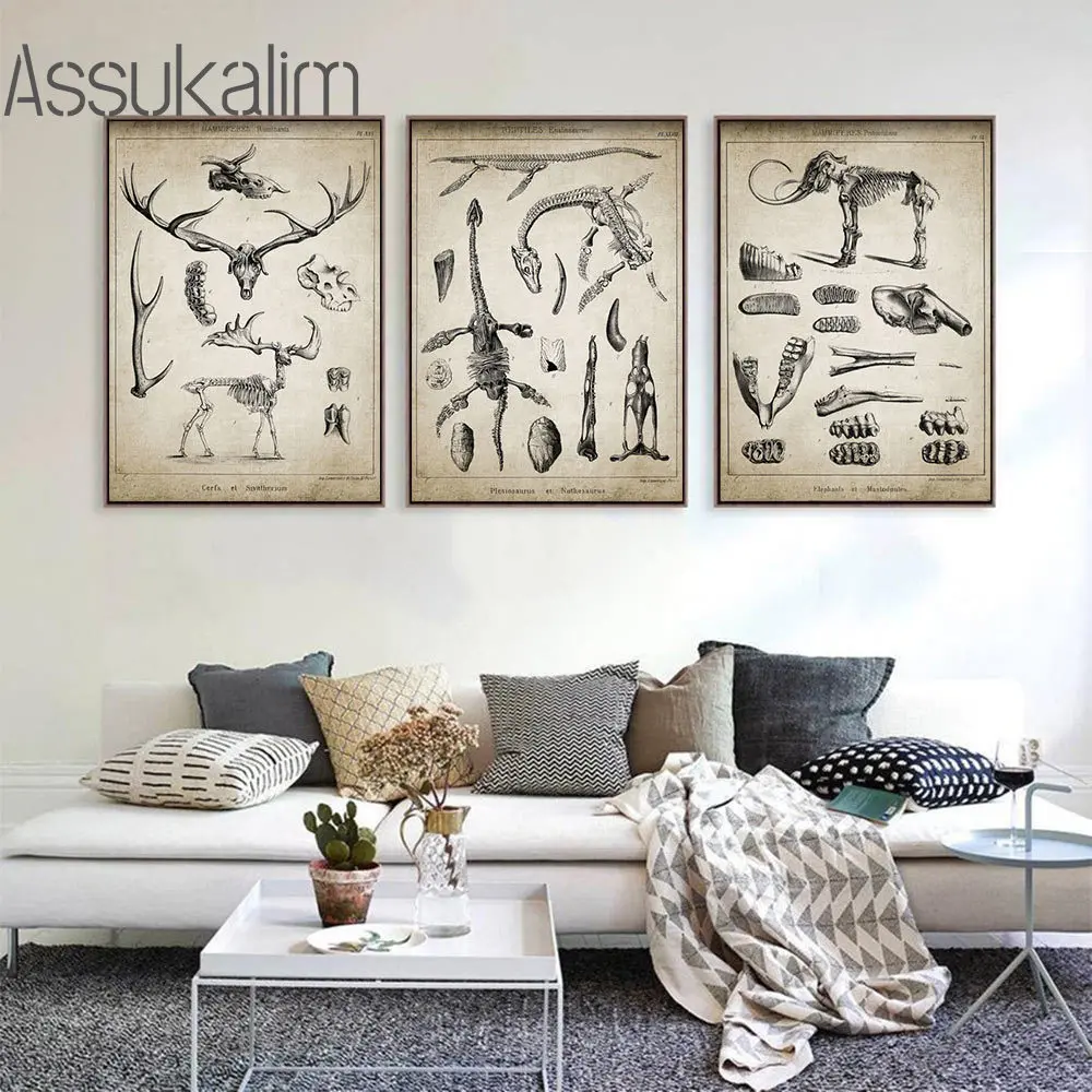 Animal Bone Structure Posters Dinosaur Fossil Art Prints Bighorn Deer Wall Pictures Elephant Skeleton Wall Posters Biology Decor