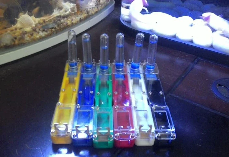 CWXTGS 1 шт. акриловая початковая линия Ant Nest Ant Villa (весельная версия)