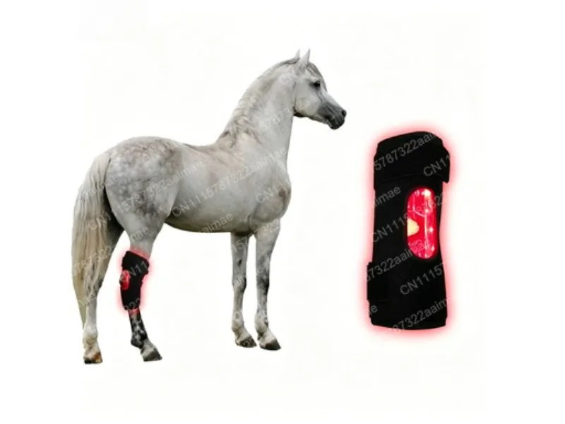 Infrared Light Therapy Device for Pet Sports Injury Recovery Horse Rear Knee Portable Phototherapy Lamp
