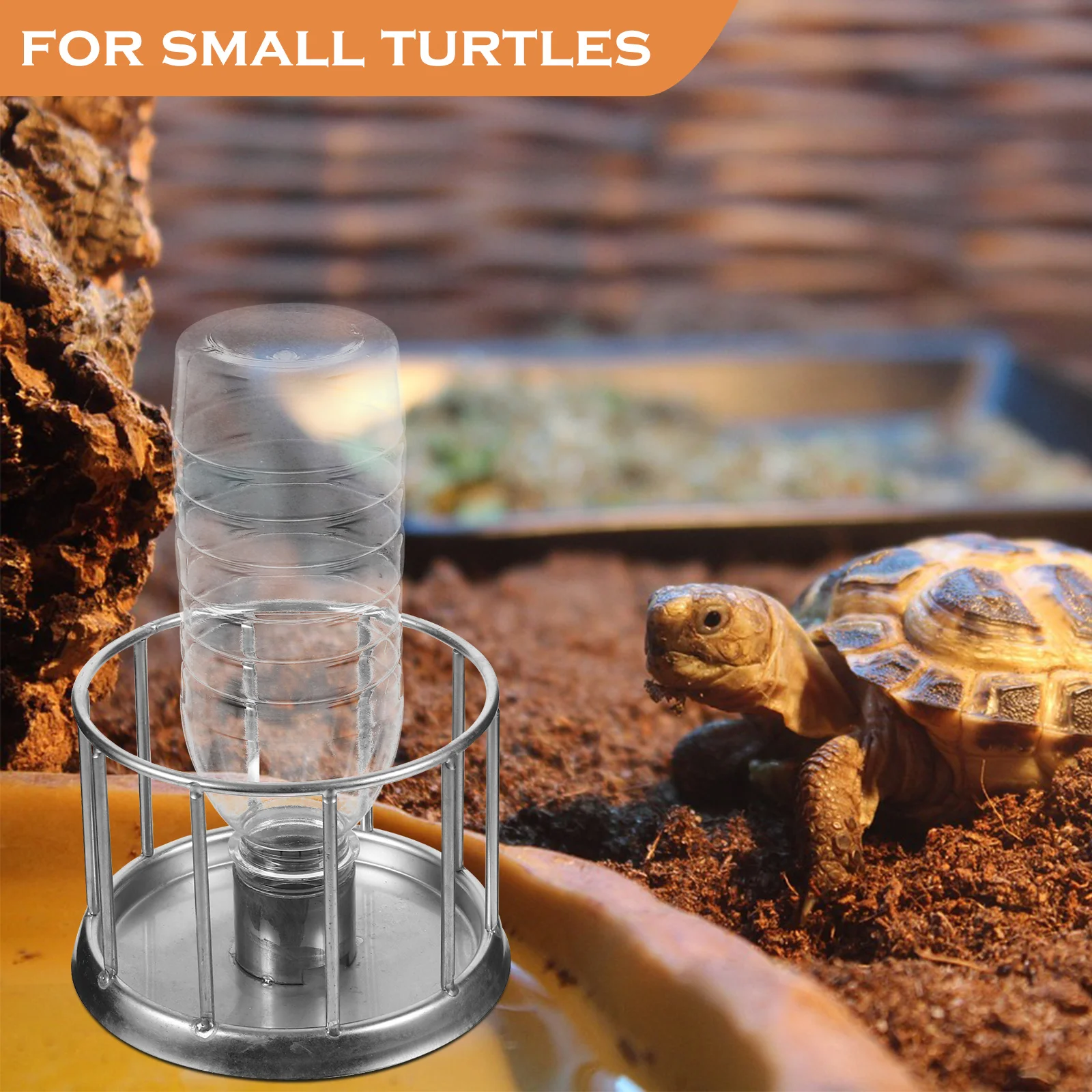 

Feeder Stainless Steel Reptile Bowl Small Pet Dish for Terrapin Dragon Food Container Habitat Accessories