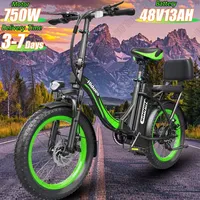 Folding Electric Bike 750W Powerful Motor 48V13AH Waterproof Lithium Battery E Bike Adult Mountain 20 Inch Tire Electric Bicycle