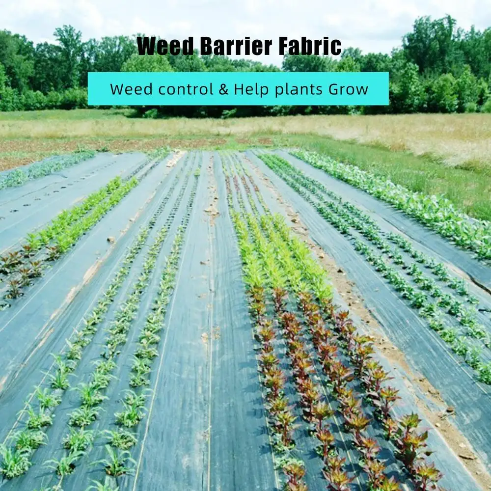 Heavy Duty 3.2 Oz Weed Barrier ภูมิทัศน์ผ้าติดตั้งง่ายสวนทนทาน GROUND COVER Weed BLOCK ภูมิทัศน์และการกัดกร่อน