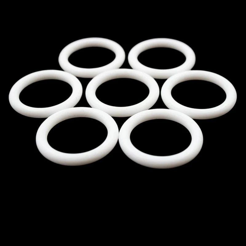 Custom PTFE O-rings 10 pcs