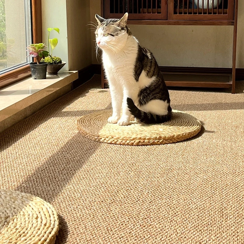 Cat Scratch Resistant Faux Sisal Area Rug Non Slip Floor Carpet Pet Friendly Mat for Living Room Bedroom Floor Home Decor Carpet